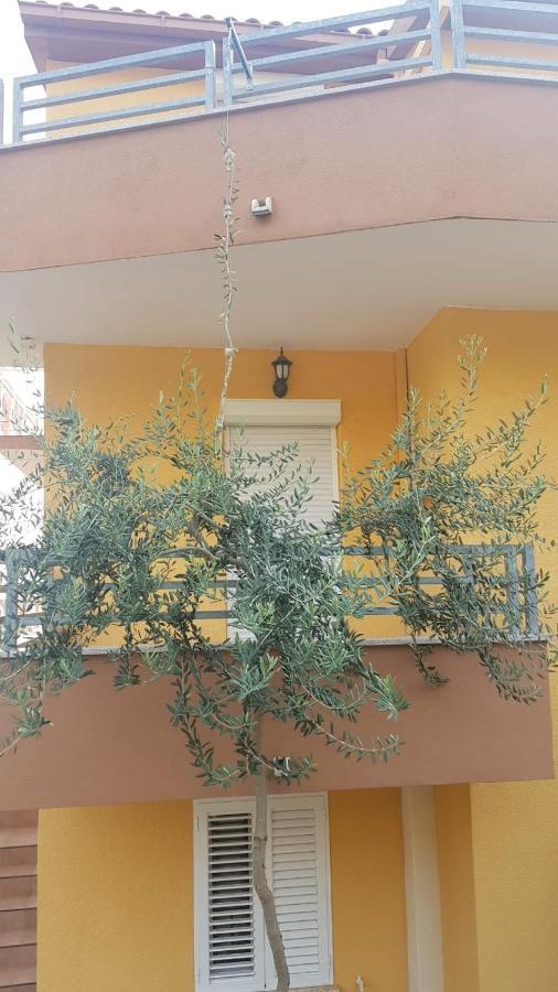 Apartmani Babic ドゥギ・ラット エクステリア 写真